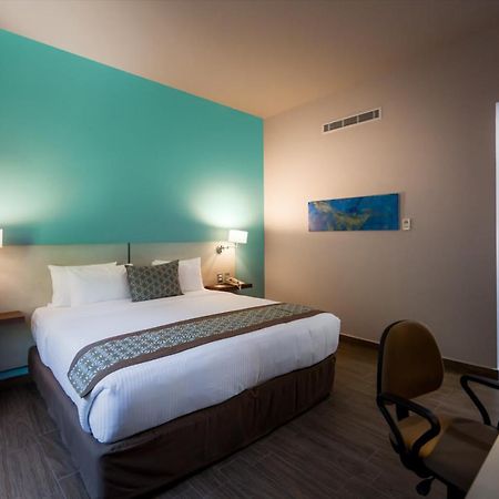 Comfort Inn&Suites Los Cabos Cabo San Lucas Exterior foto